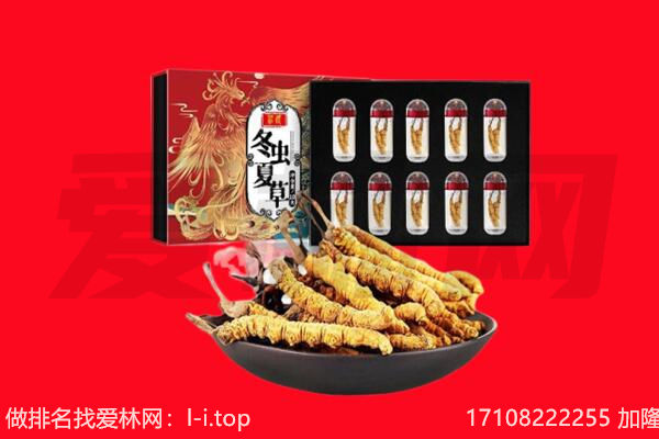 哈尔滨道里回收虫草.jpg
